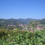 Vineyards near Andlau